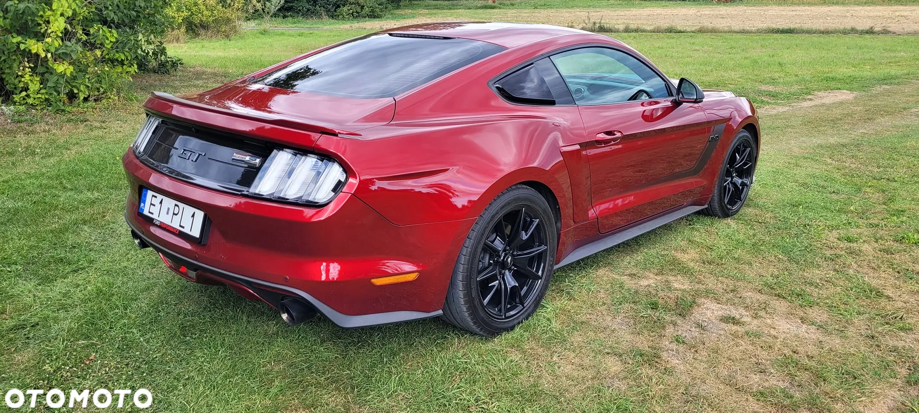 Ford Mustang 5.0 V8 GT - 5