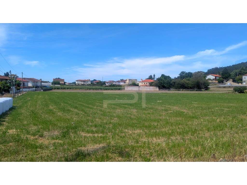 Terreno de construção na freguesia de Telhado - Grande imagem: 2/7