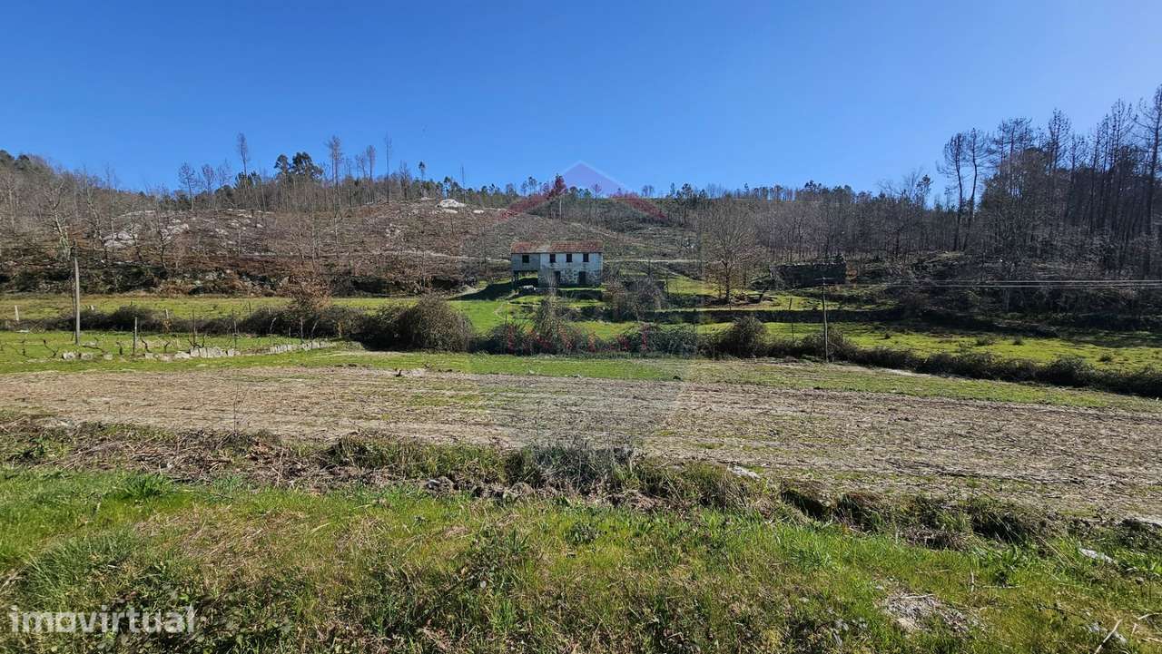 Quinta  Venda em Mamouros, Alva e Ribolhos,Castro Daire - Grande imagem: 2/12