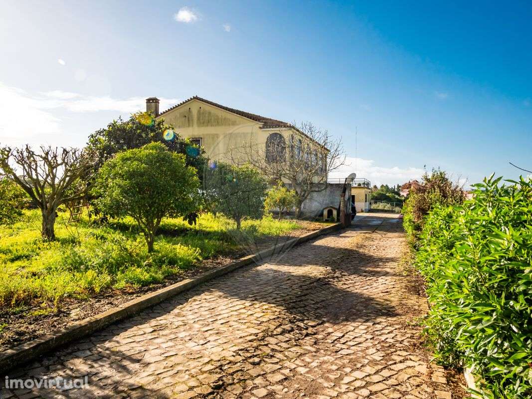 Moradia T6 para venda - Grande imagem: 4/23