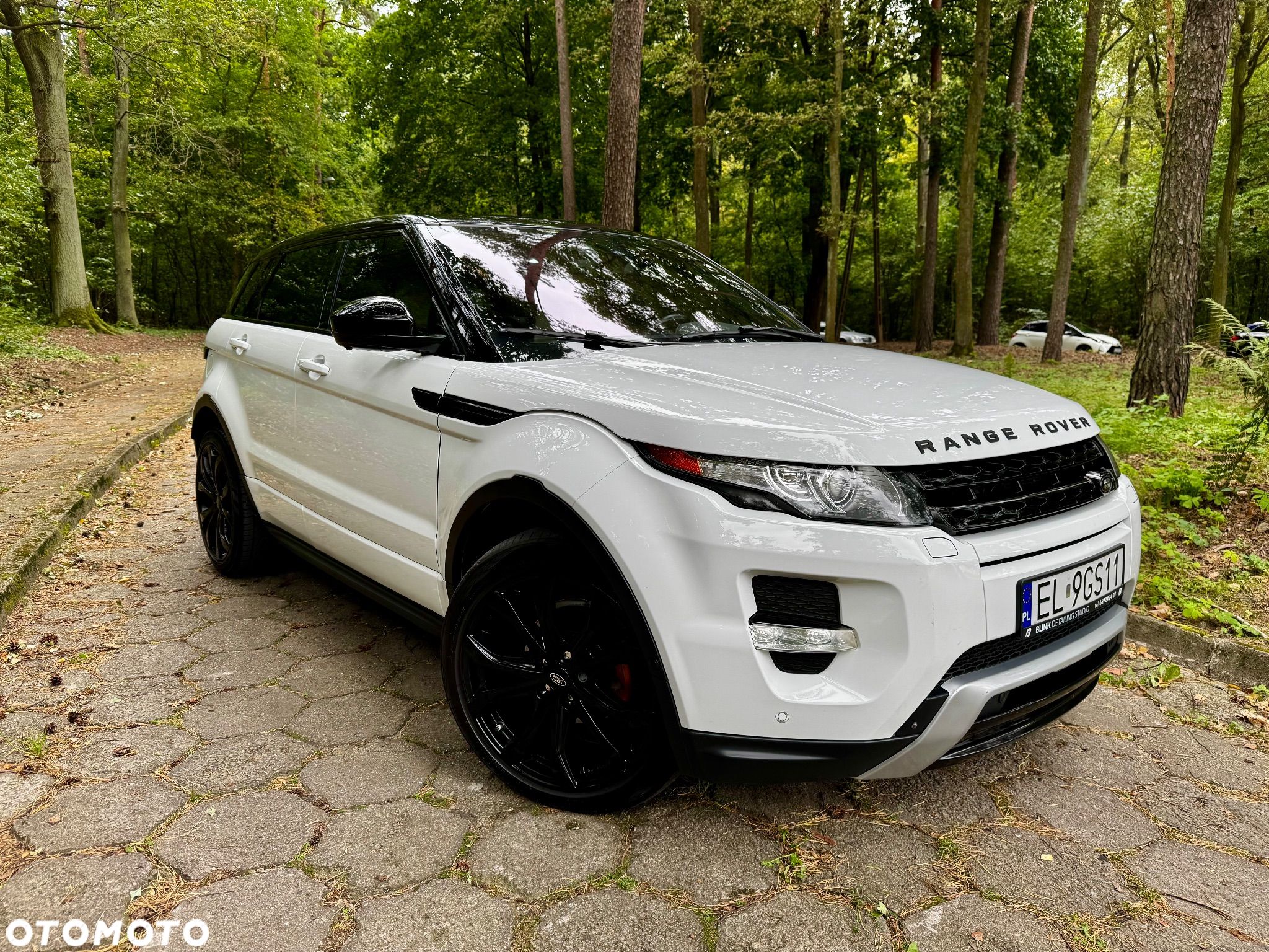 Land Rover Range Rover Evoque 2.0Si4 SE Dynamic - 1