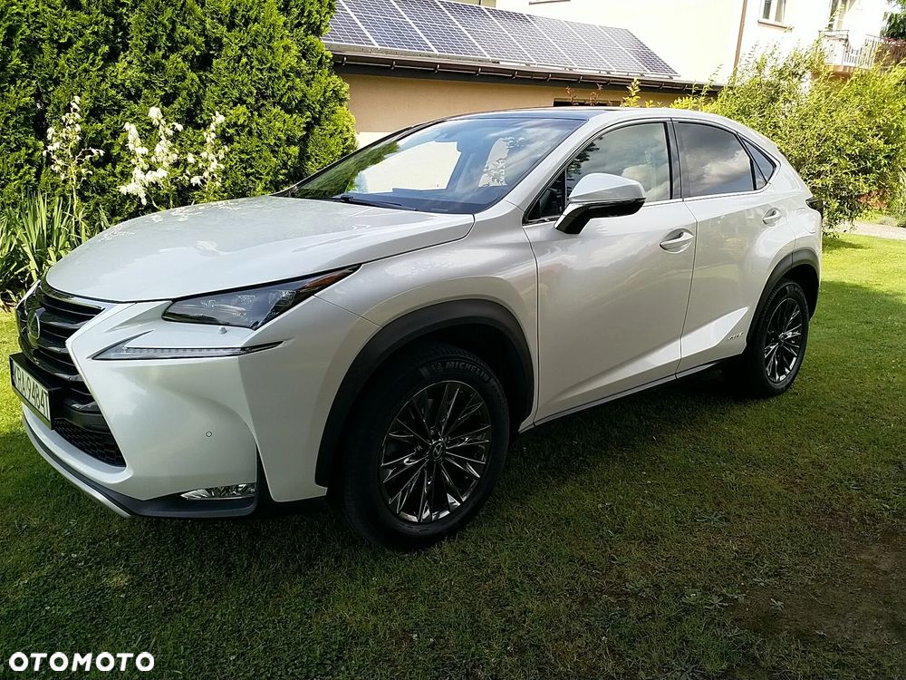 Lexus NX 300h Prestige AWD - 31