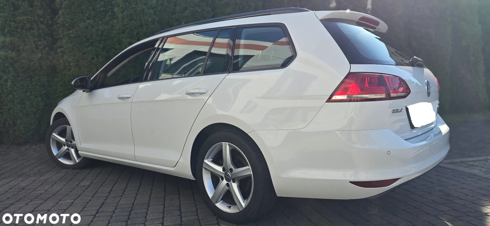 Volkswagen Golf VII 1.6 TDI BMT Trendline EU6 - 5