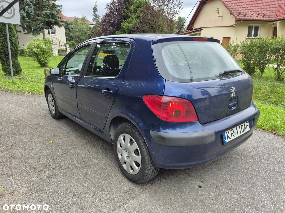 Peugeot 307 1.6 - 7