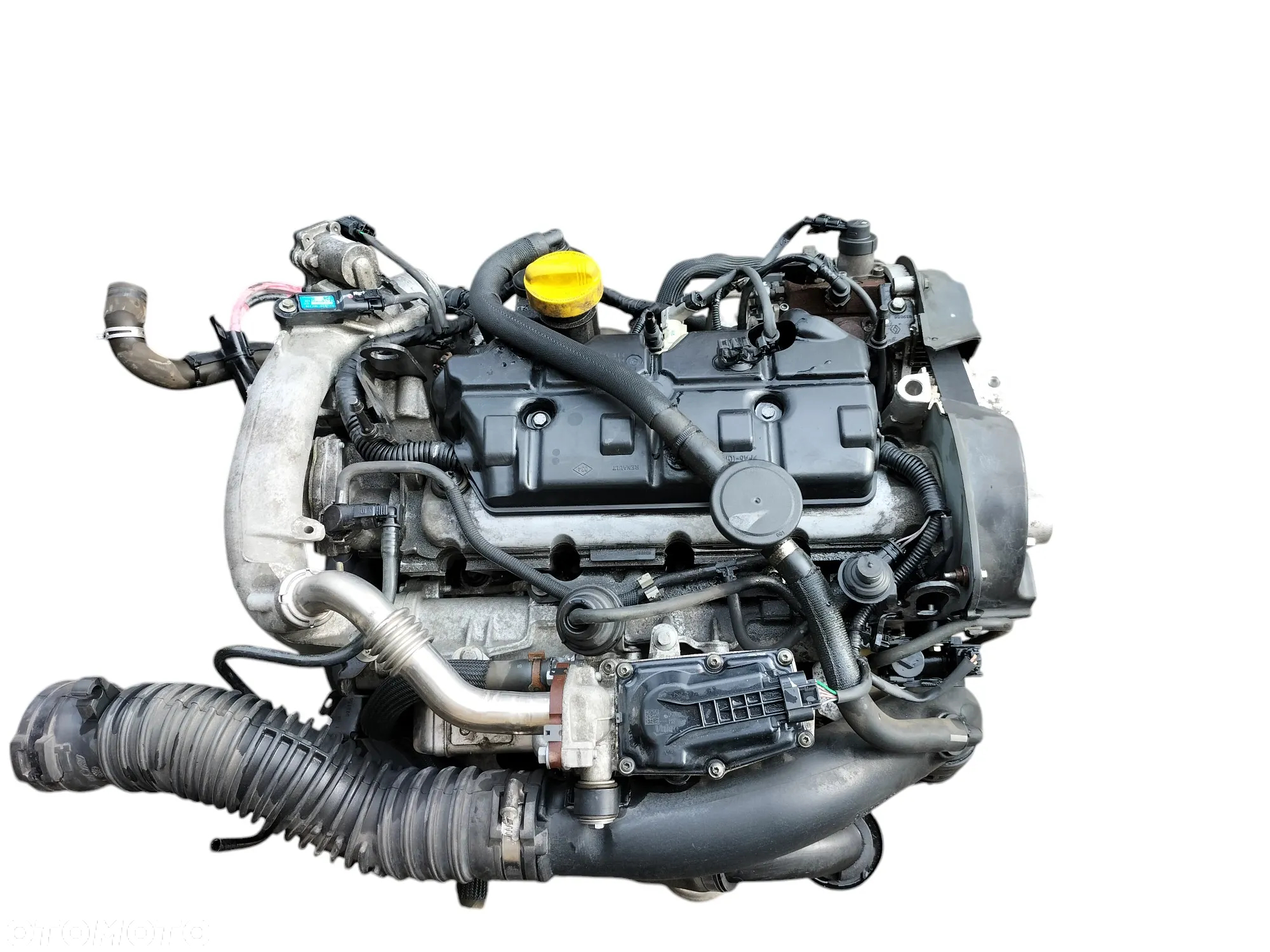SILNIK KOMPLETNY 1.9 DCI F9QP872 RENAULT SCENIC III - 13