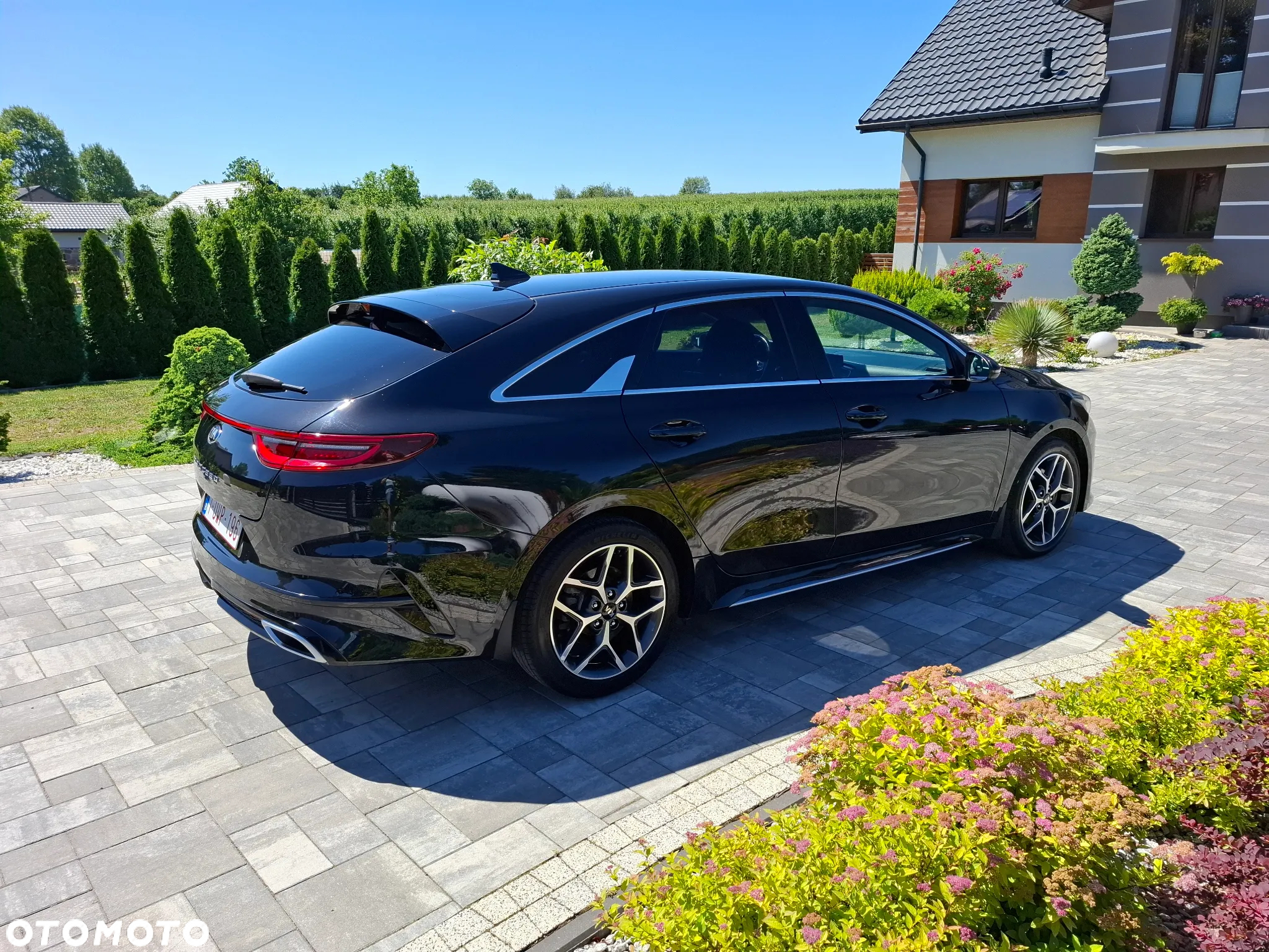 Kia ProCeed 1.5 T-GDI GT Line - 12