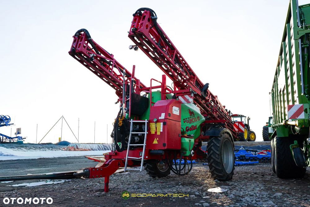 Krukowiak Goliat - 5