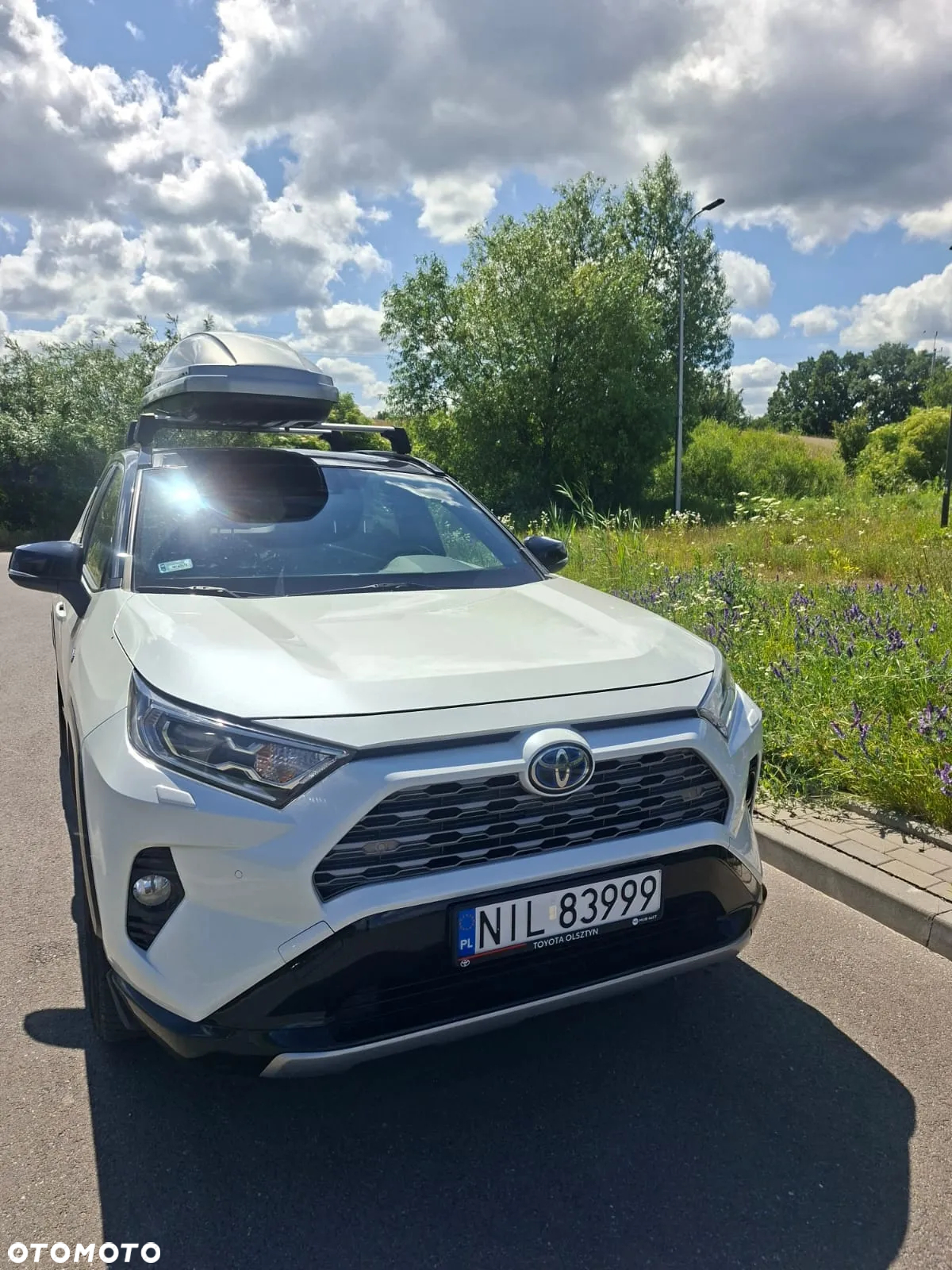 Toyota RAV4 2.5 Hybrid Selection 4x2 - 11