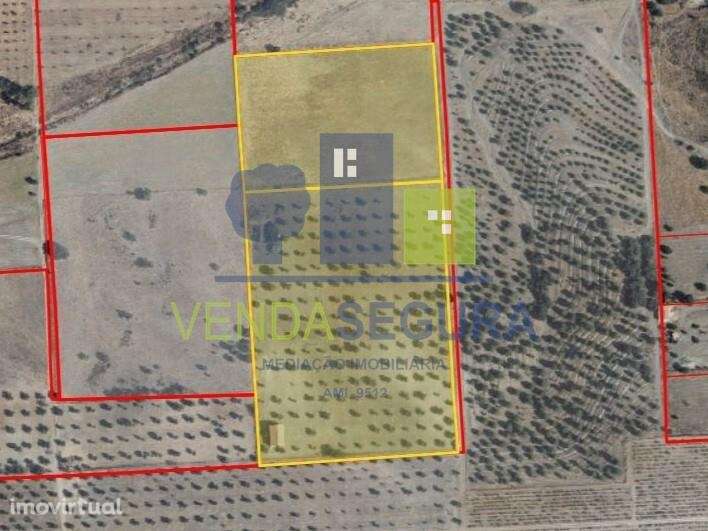 2 Terrenos agrícolas + Casão | Amareleja - Grande imagem: 2/19