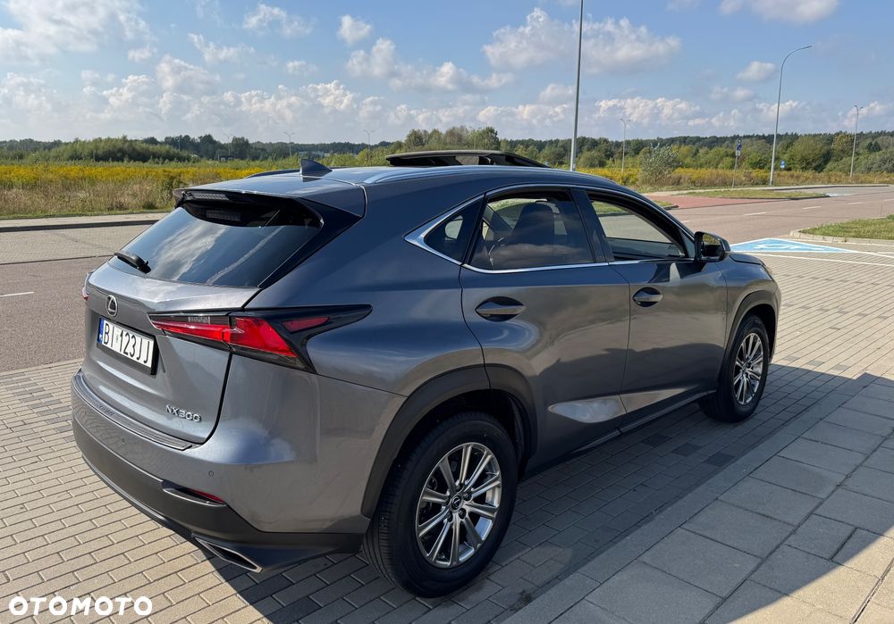 Lexus NX 300 - 10