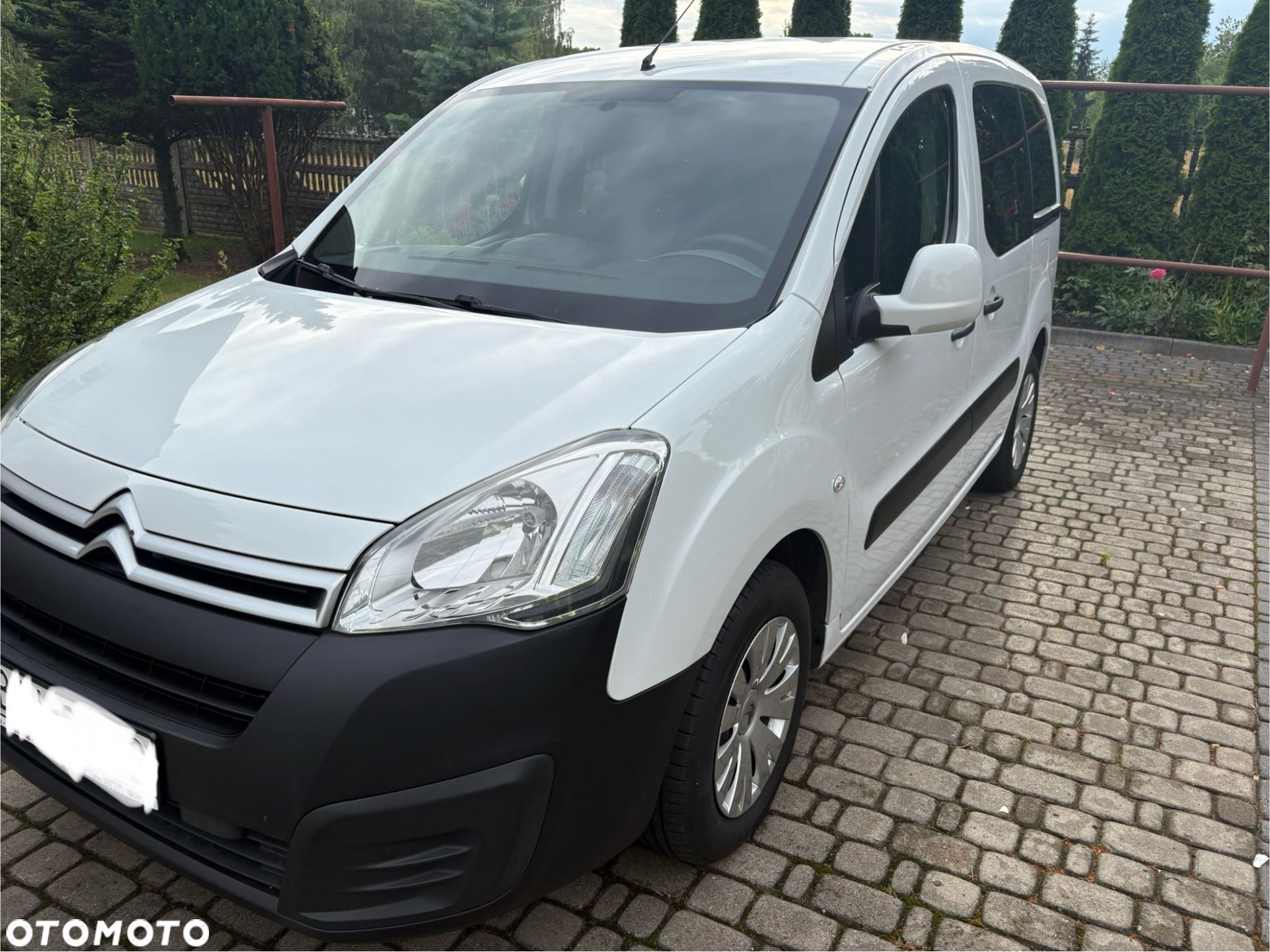 Citroën Berlingo Van 1.6 BlueHDi XL Control - 1