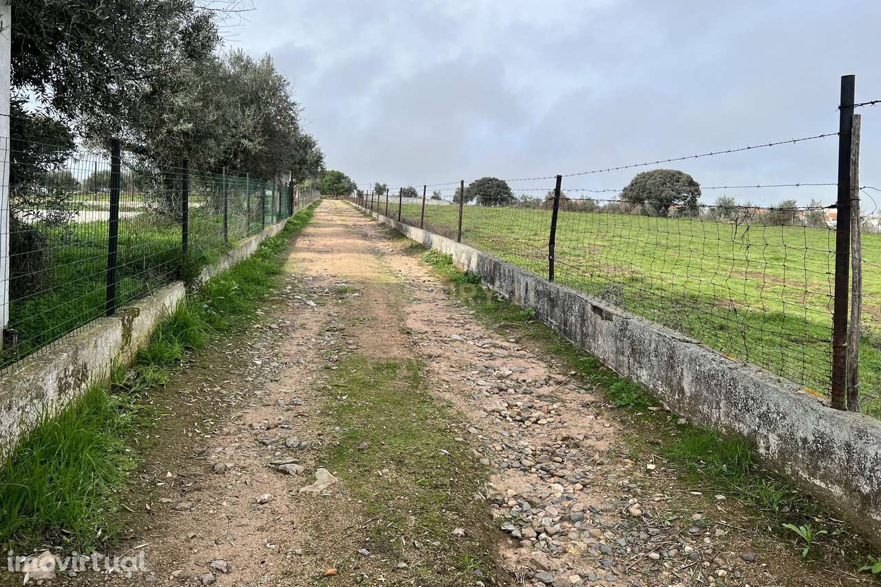 Magnífica Quinta em Monforte com Vista Panorâmica e Piscina - Grande imagem: 2/12