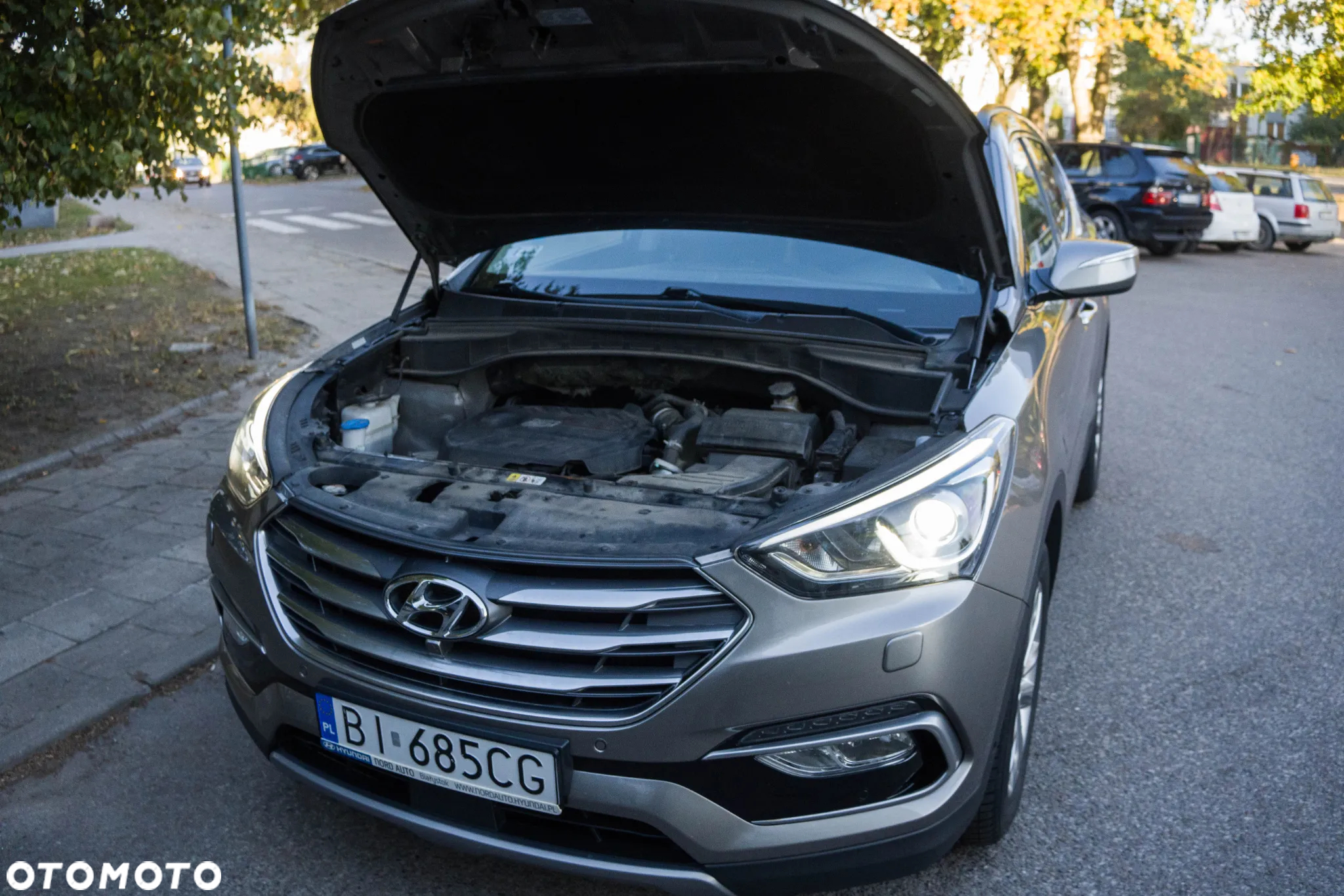 Hyundai Santa Fe - 38