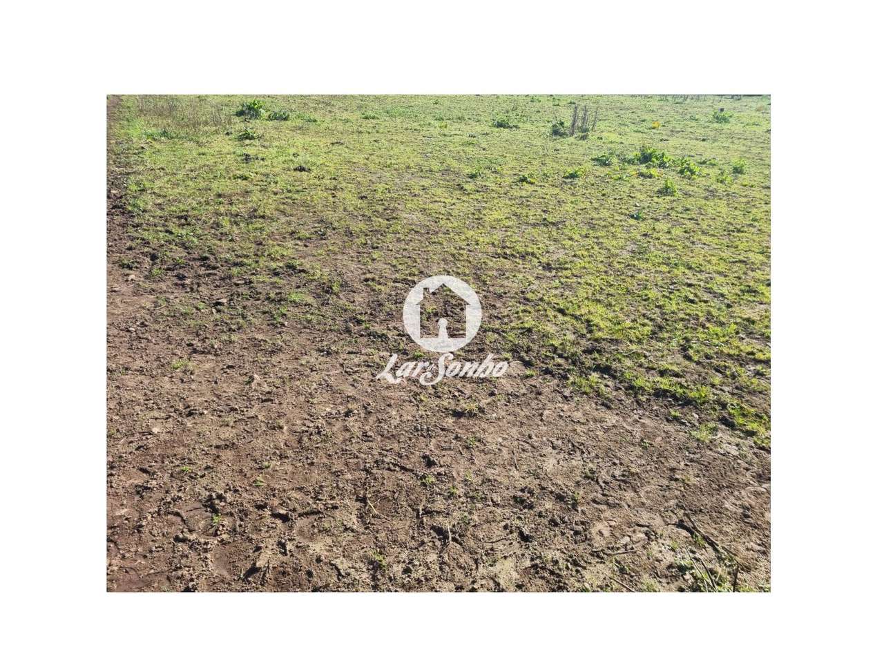 Terreno construção de Moradias - Grande imagem: 5/13