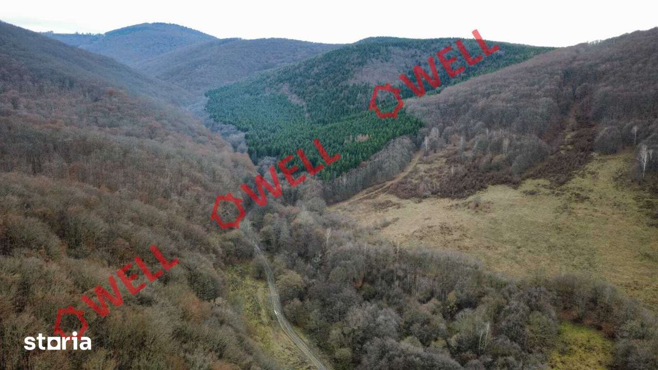De vânzare teren extravilan în loc.Malnaș - Imagine principală: 4/6