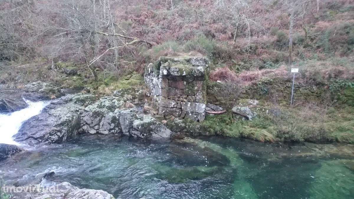 Terreno com 29500 m2 e cerca de 3000 pés de eucaliptos. - Grande imagem: 5/34