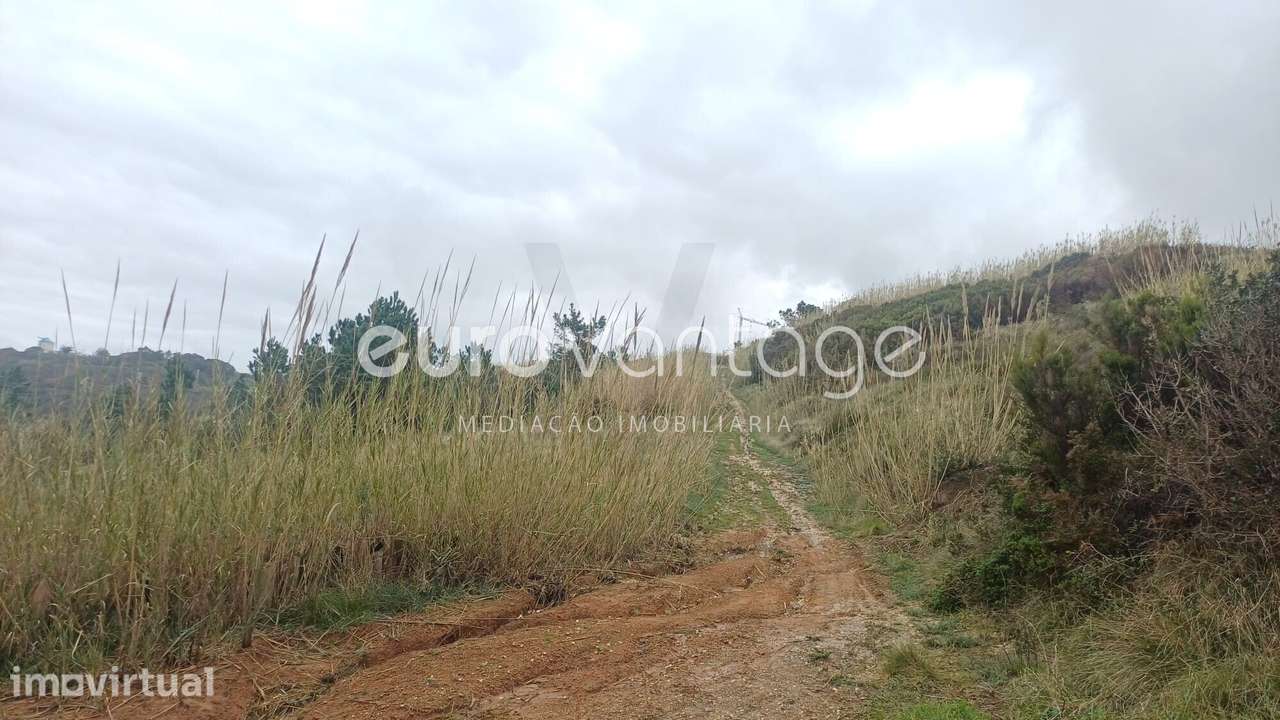 Terreno, Famalicão, Nazaré - Grande imagem: 5/12