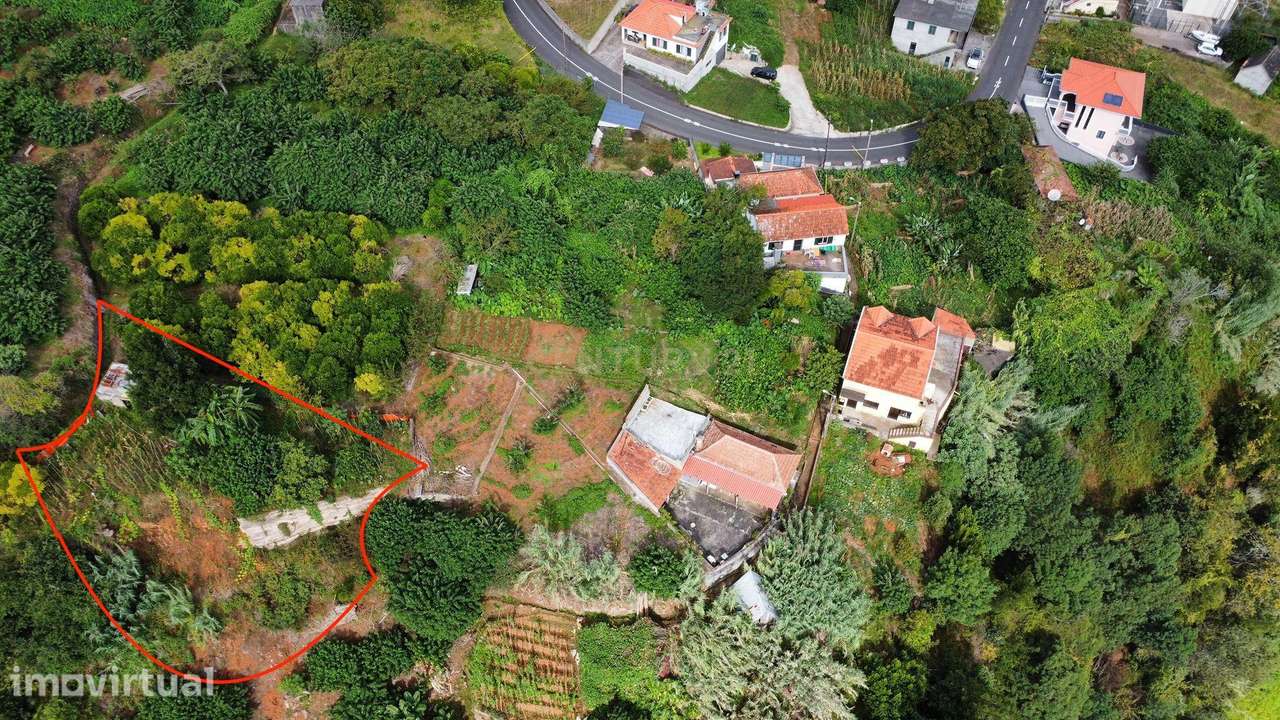 Terreno Agrícola em Faial, Santana - Ilha da Madeira - Grande imagem: 4/5