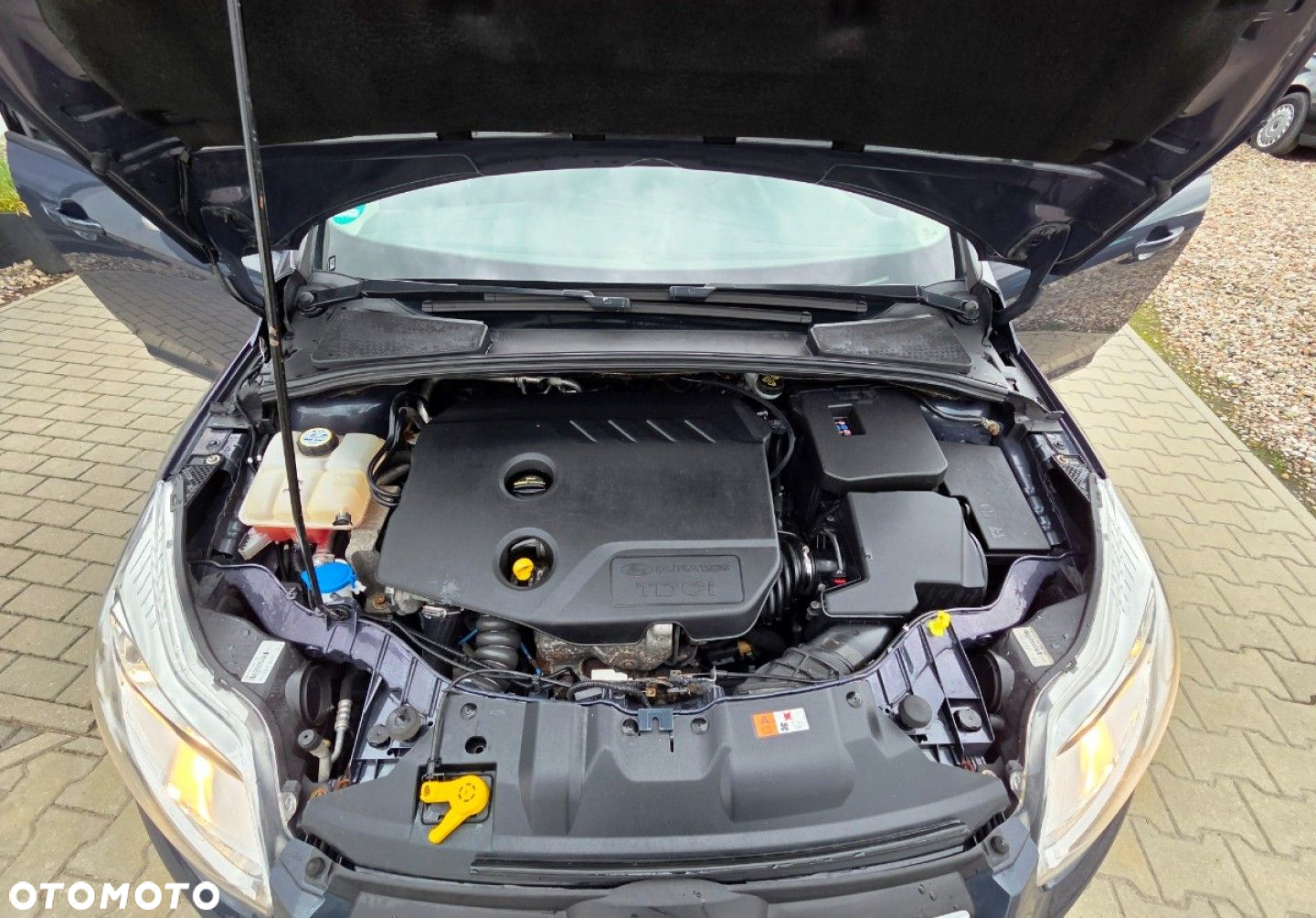 Ford Focus - 15