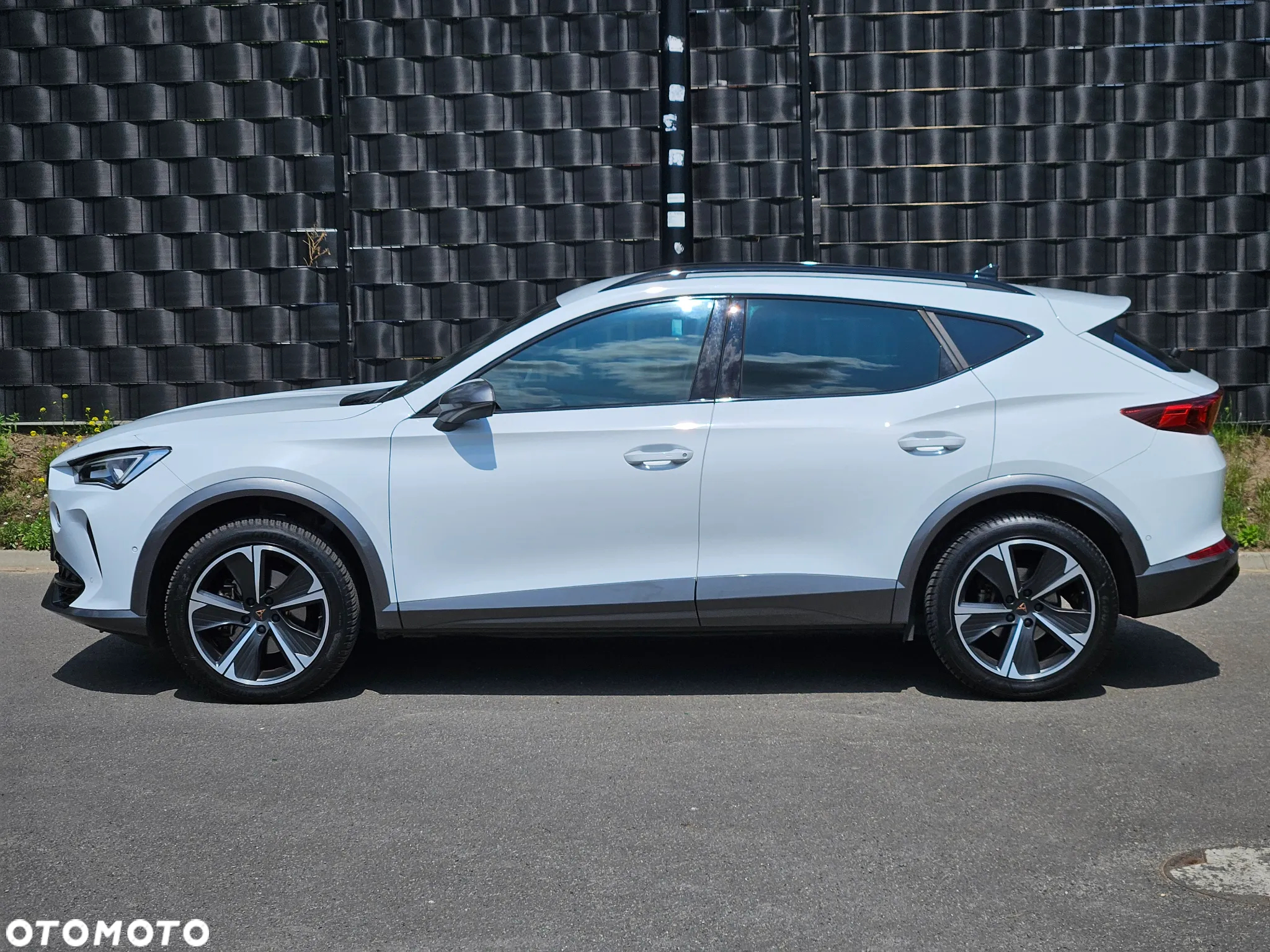 Cupra Formentor 1.5 TSI DSG - 8