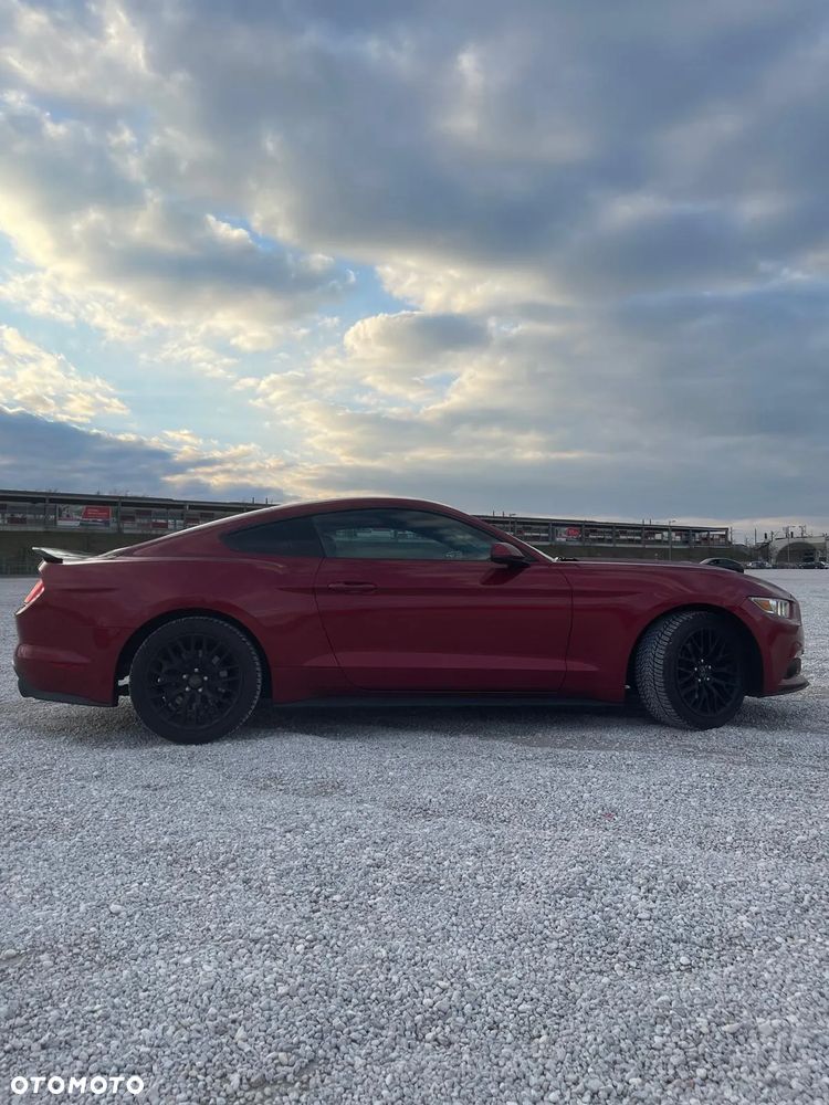 Ford Mustang 2.3 EcoBoost - 5