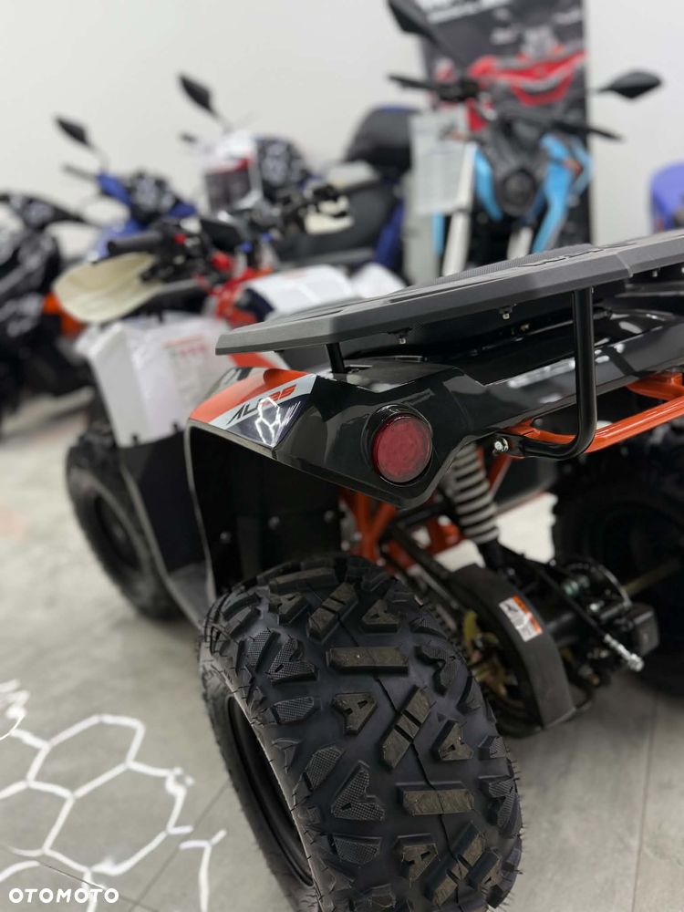 KAYO AU - 11