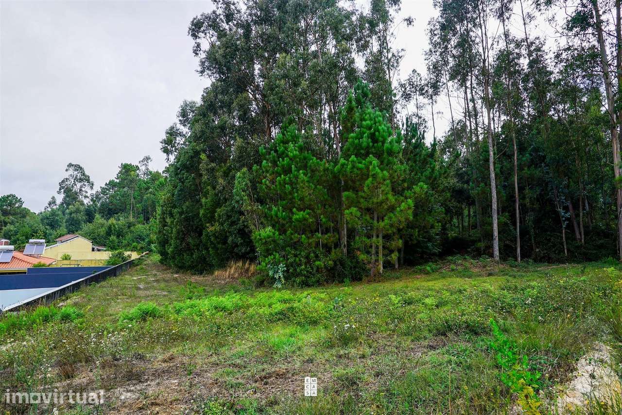 Terreno  Venda em São Miguel do Souto e Mosteirô,Santa Maria da Feira - Grande imagem: 4/5