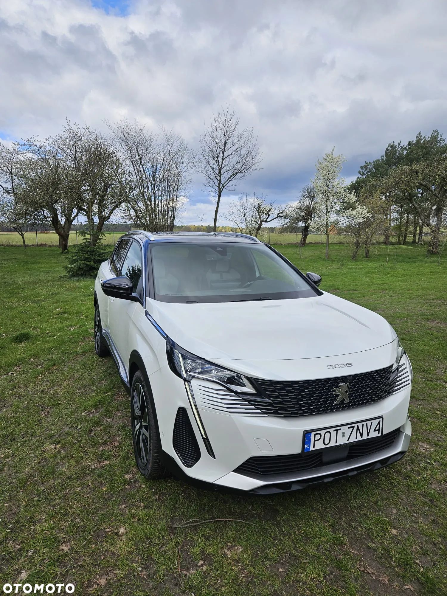 Peugeot 3008 - 1