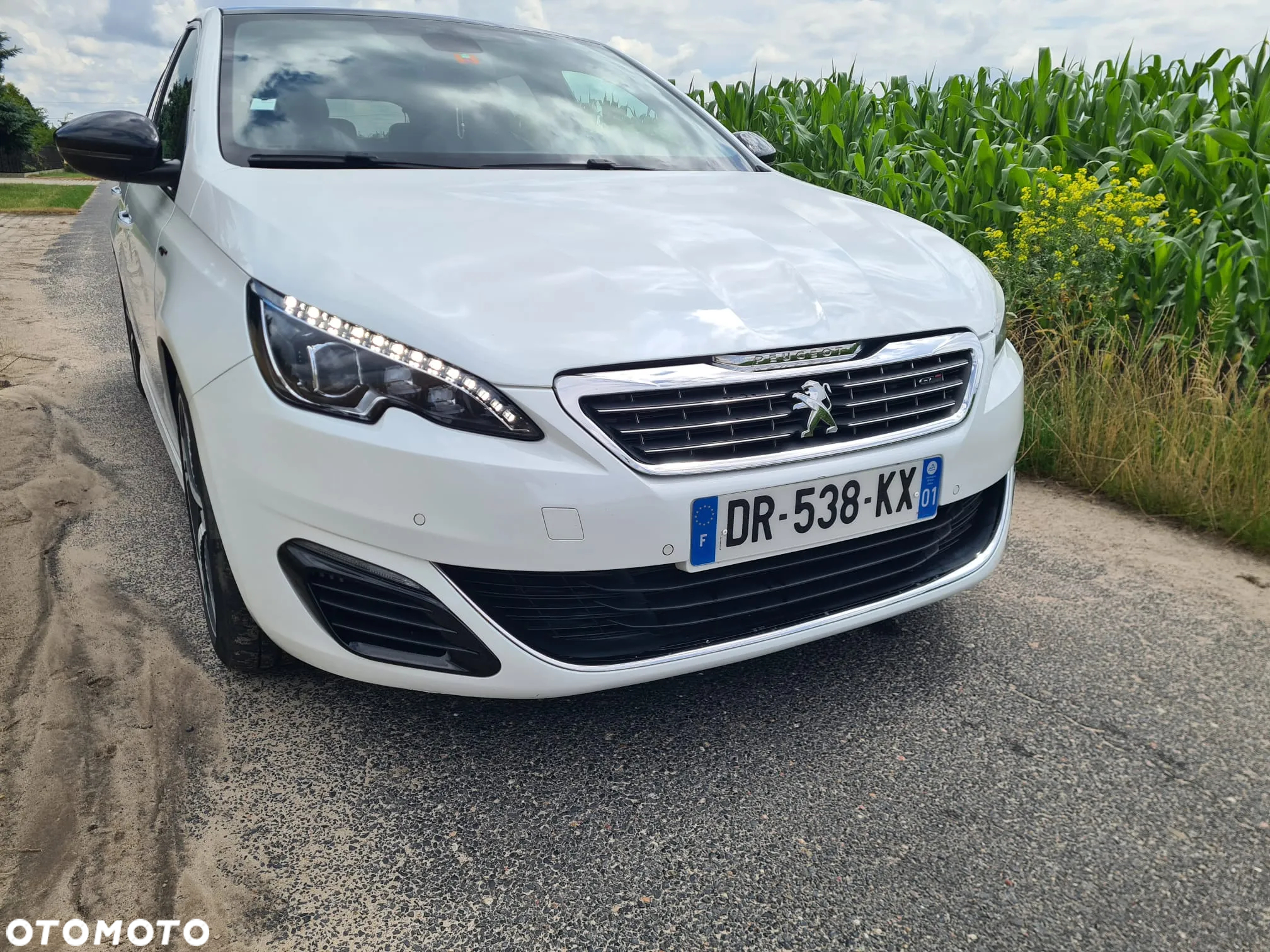 Peugeot 308 BlueHDi 180 EAT6 GT - 13