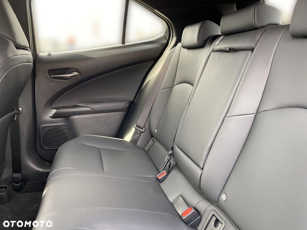 Lexus UX 250h GPF F Sport Design 2WD - 15