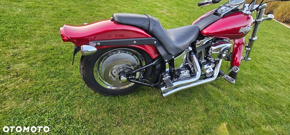 Harley-Davidson Softail - 12