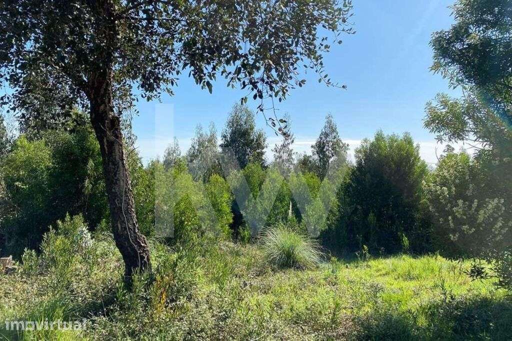 Terreno Quintãs | Oliveirinha | 4200m2 | Urbanizável - Grande imagem: 2/15