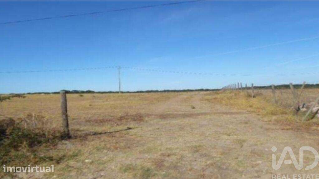 Terreno Agrícola em Estremoz - Grande imagem: 3/5