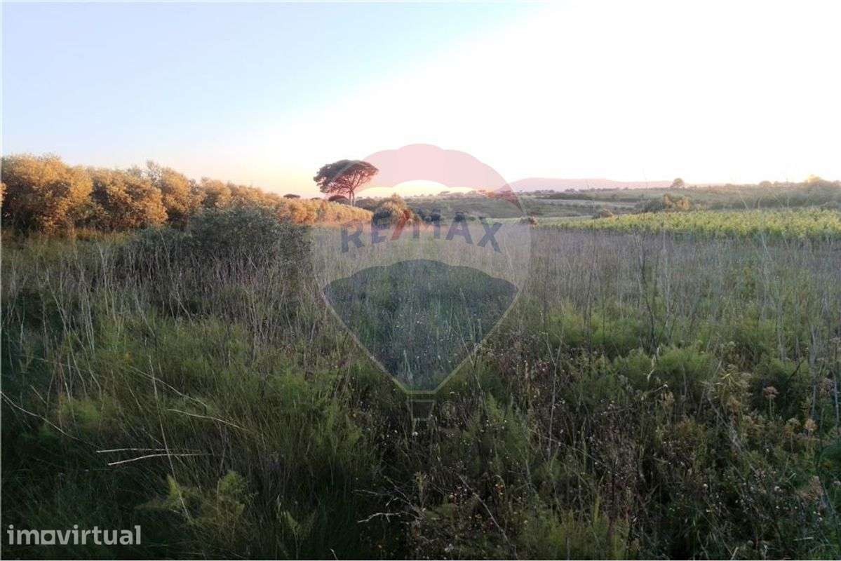 Terreno  para venda - Grande imagem: 5/8