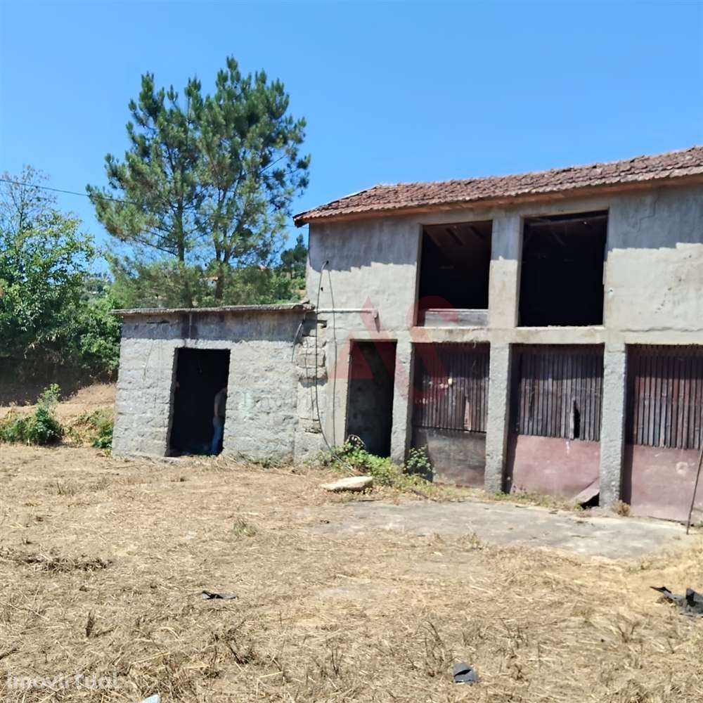 Moradias para restaurar com terreno de 41.214 m² em Borba de Godim, Fe - Grande imagem: 3/28