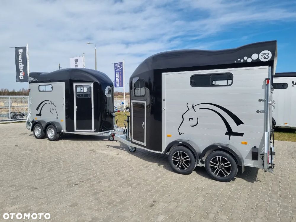 Cheval Liberte Gold 3 - 32