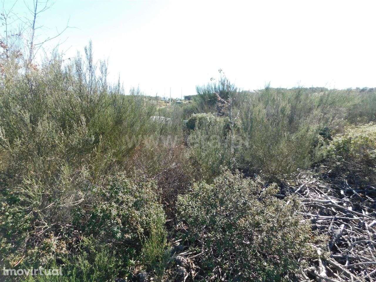 Terreno / Oliveira do Hospital, Meruge - Grande imagem: 3/3