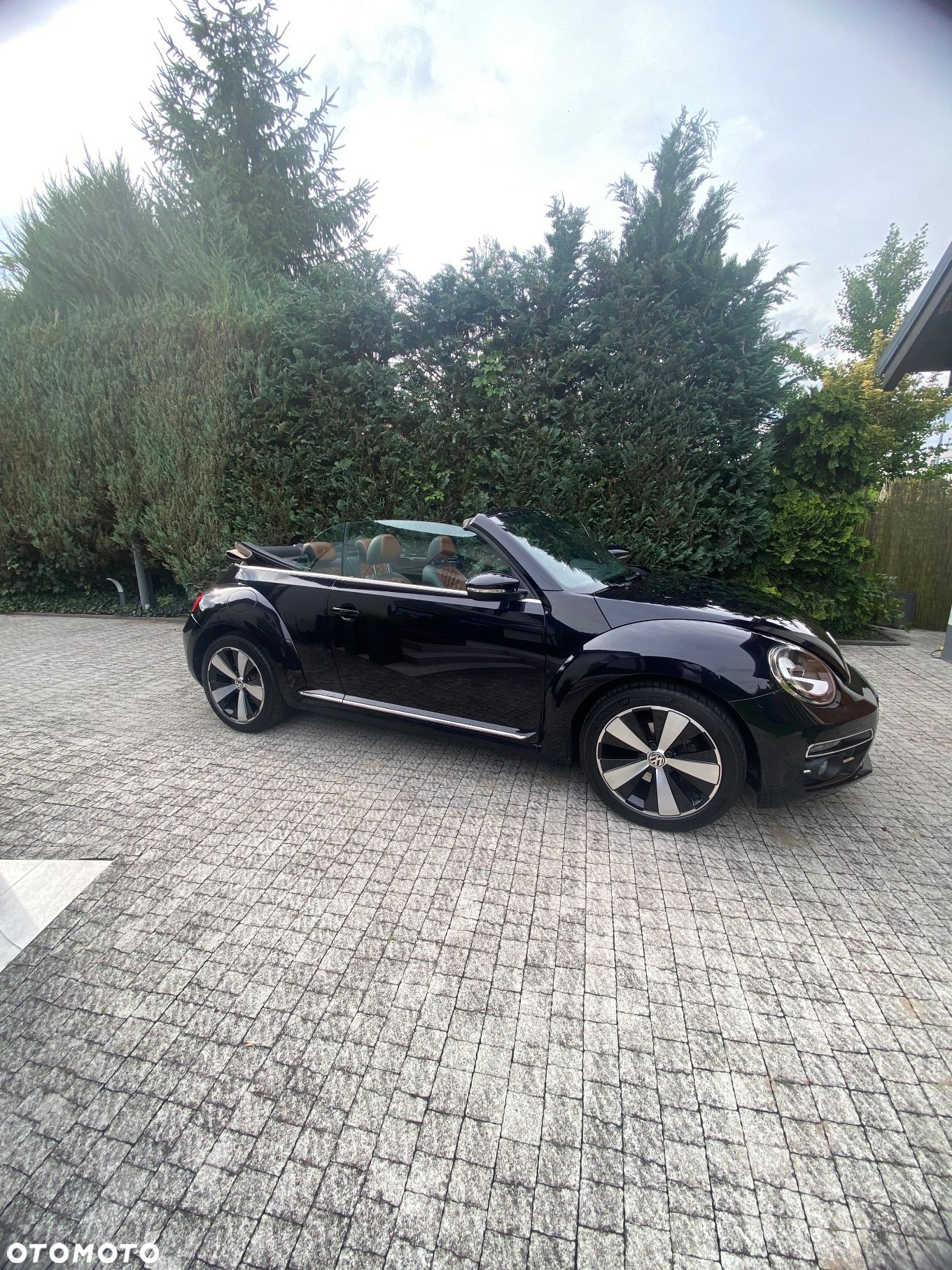 Volkswagen Beetle - 4