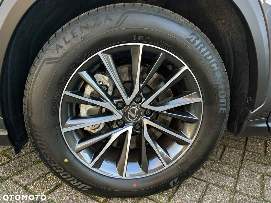 Lexus NX - 14