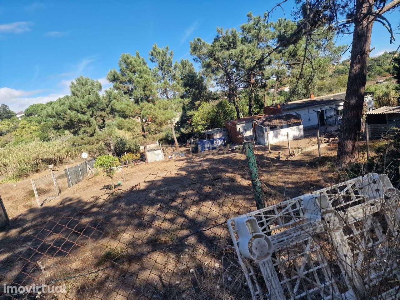 Terreno Rústico Quinta da Rosa - Grande imagem: 2/8