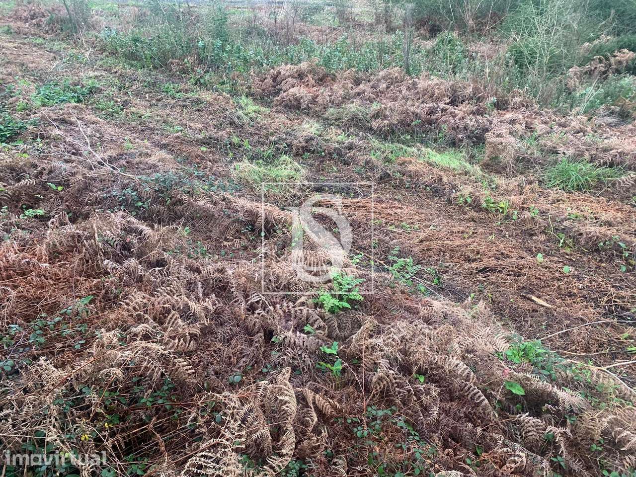 Terreno  Venda em Mujães,Viana do Castelo - Grande imagem: 4/15
