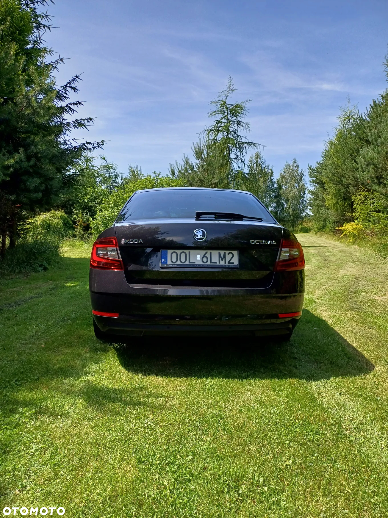 Skoda Octavia 1.6 TDI SCR Style - 7
