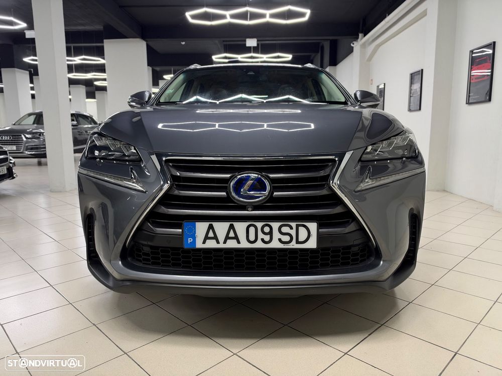 Lexus NX 300h Executive Plus - 13