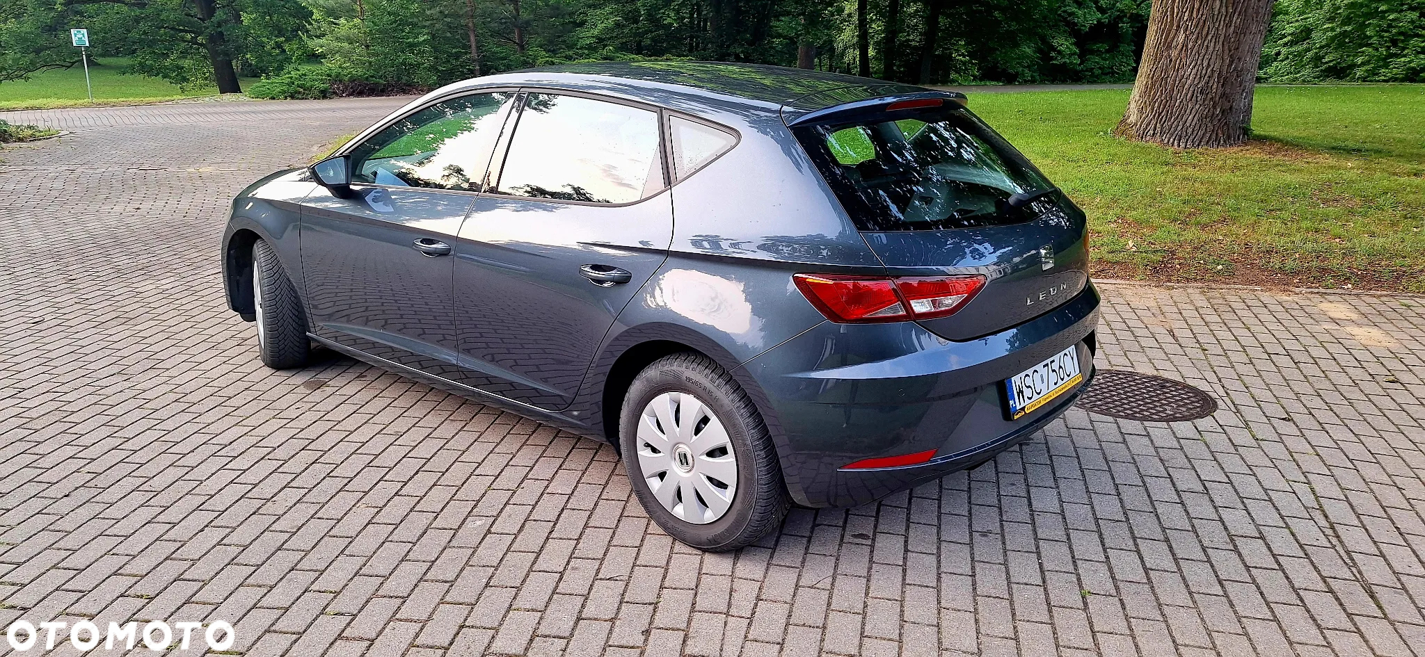 Seat Leon 1.0 TSI OPF Reference - 6