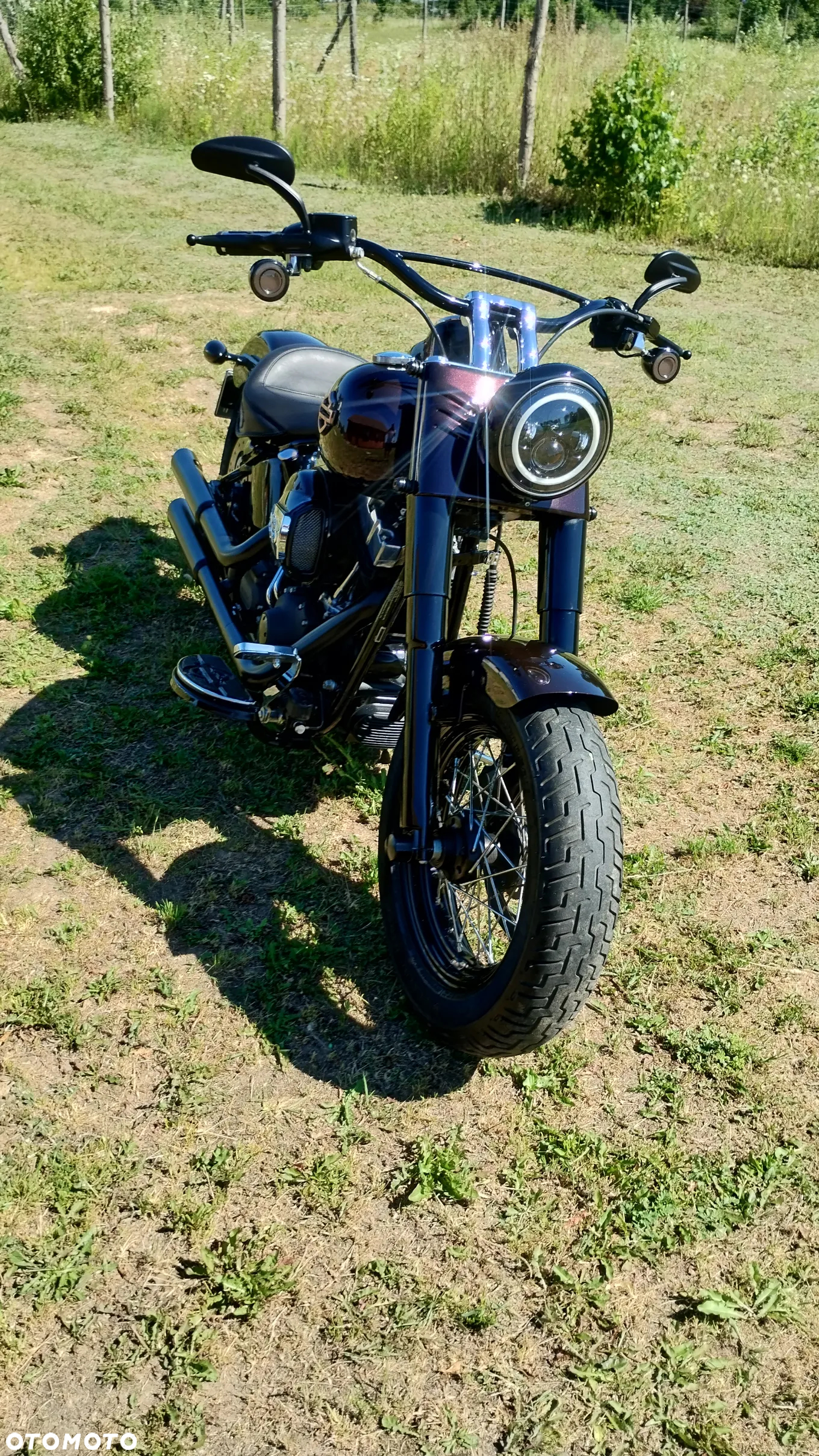 Harley-Davidson Softail Slim - 15