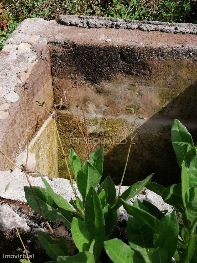 Terreno Agrícola 6.600 m² | Água Própria | Vista Desafogada | Chele... - Grande imagem: 4/14