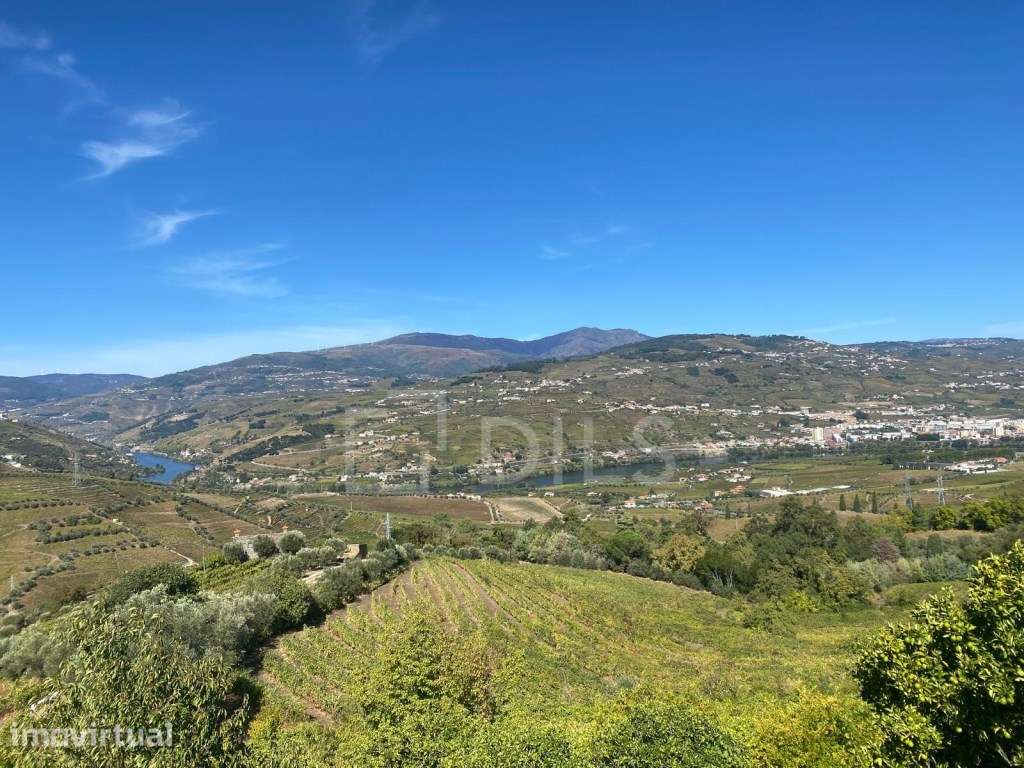 Quinta T6 em Lamego, Cambres, com vinha e vistas rio Douro - Grande imagem: 2/25