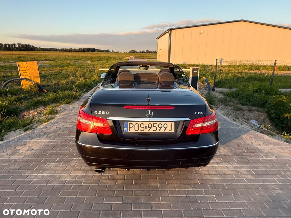 Mercedes-Benz Klasa E ver-250-cdi-blueeff - 20