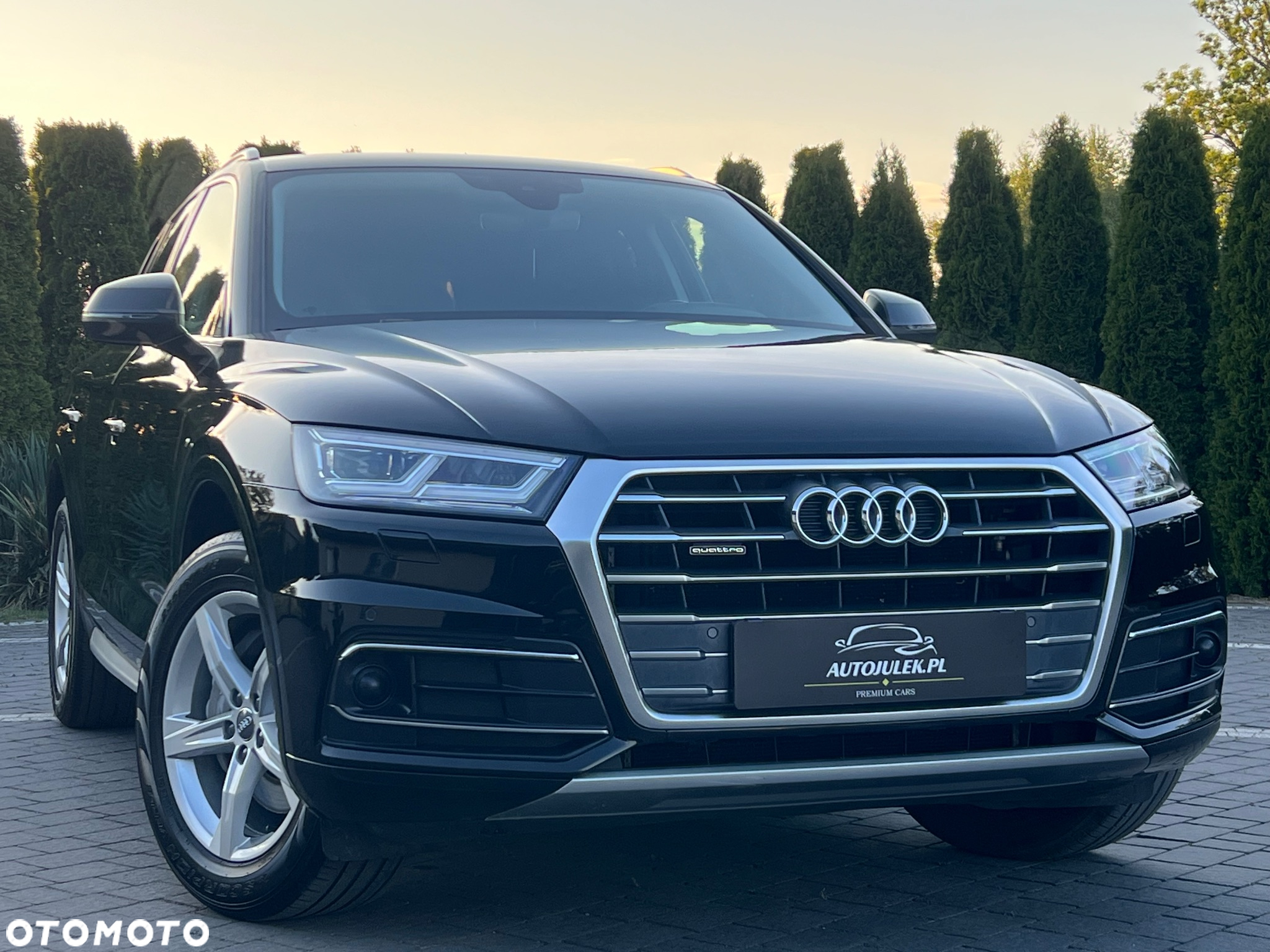 Audi Q5 2.0 TDI Quattro S tronic - 19