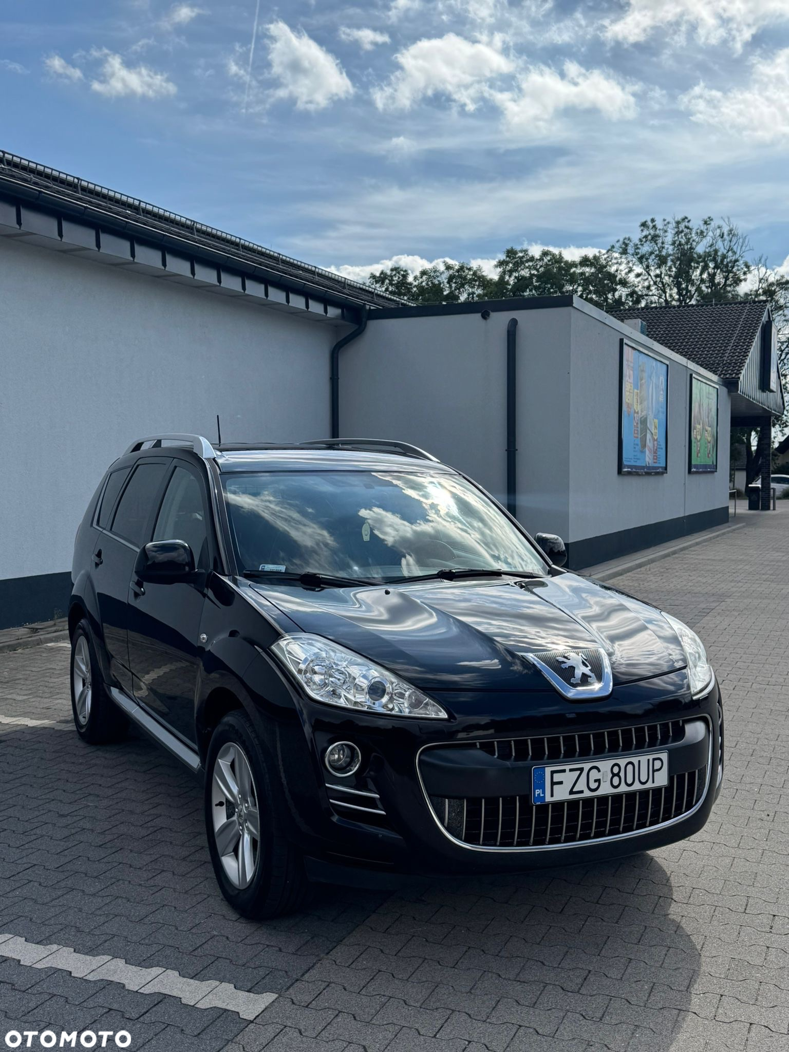 Peugeot 4007 2.2HDi Platinum - 5
